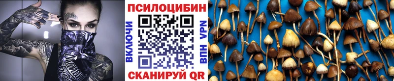 Псилоцибиновые грибы GOLDEN TEACHER  что такое наркотик  Оренбург 