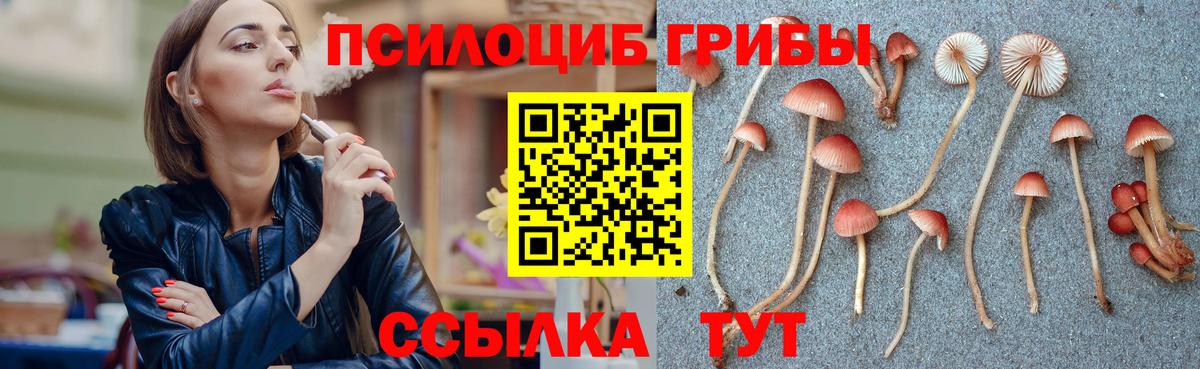купить  цена  Галлюциногенные грибы Cubensis  Вход с VPN  Оренбург  Псилоцибиновые грибы мицелий 