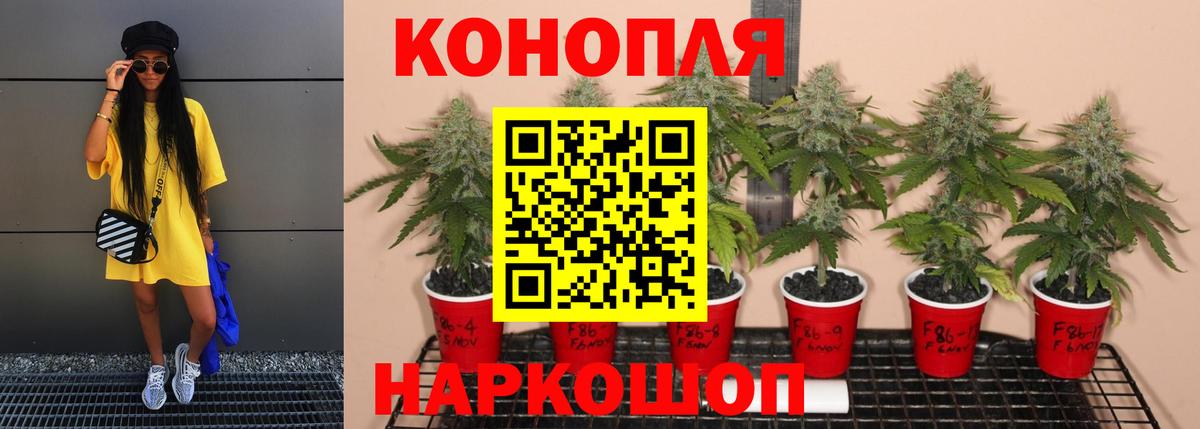 Марихуана VHQ Оренбург
